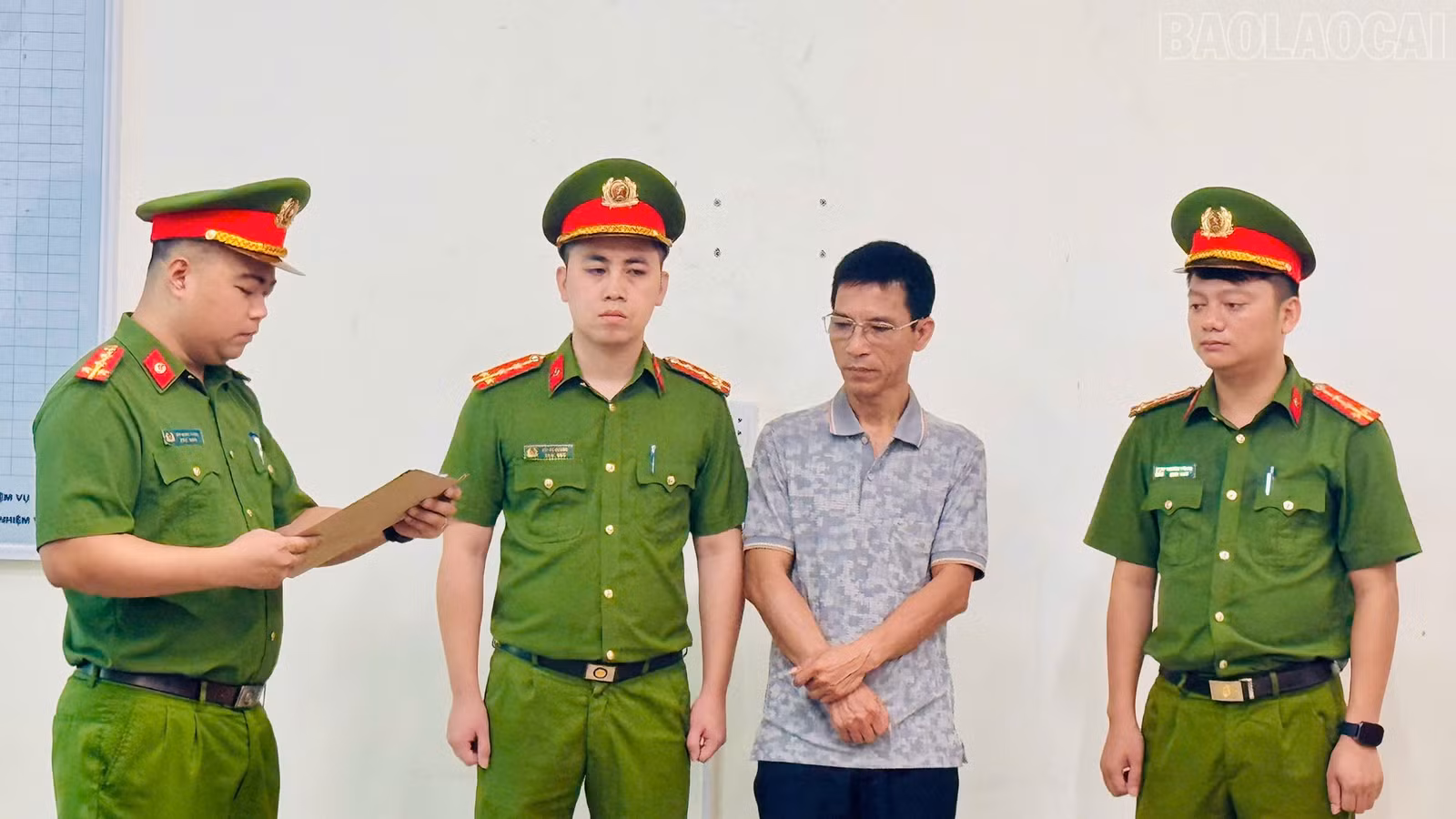 baolaocai-tr_1.jpg