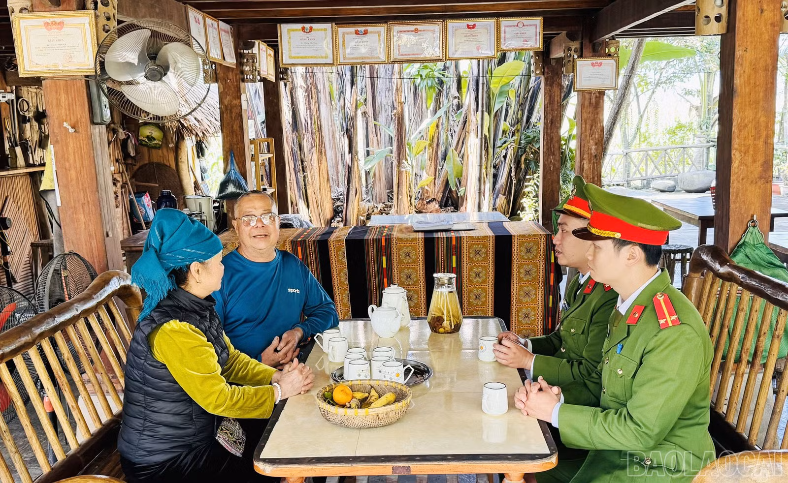 baolaocai-br_anh2.jpg