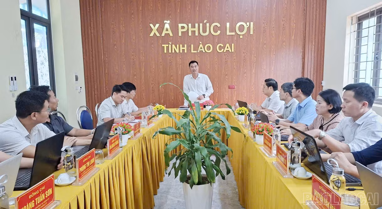 Đồng chí Nguyễn Trung Triều phát biểu tại buổi làm việc.