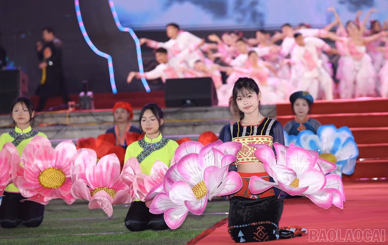 baolaocai-br_z7776730419260-dd4d2905f37602954956e190c2c5f00a-copy.jpg
