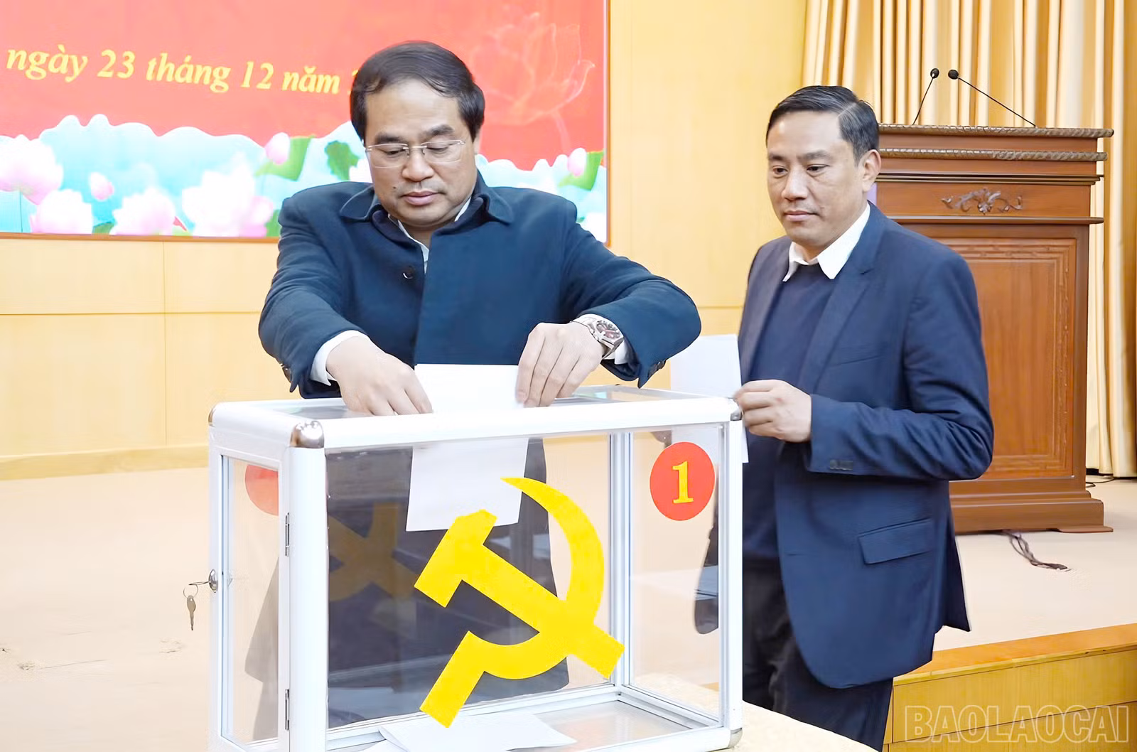 baolaocai-br_tu-4.jpg