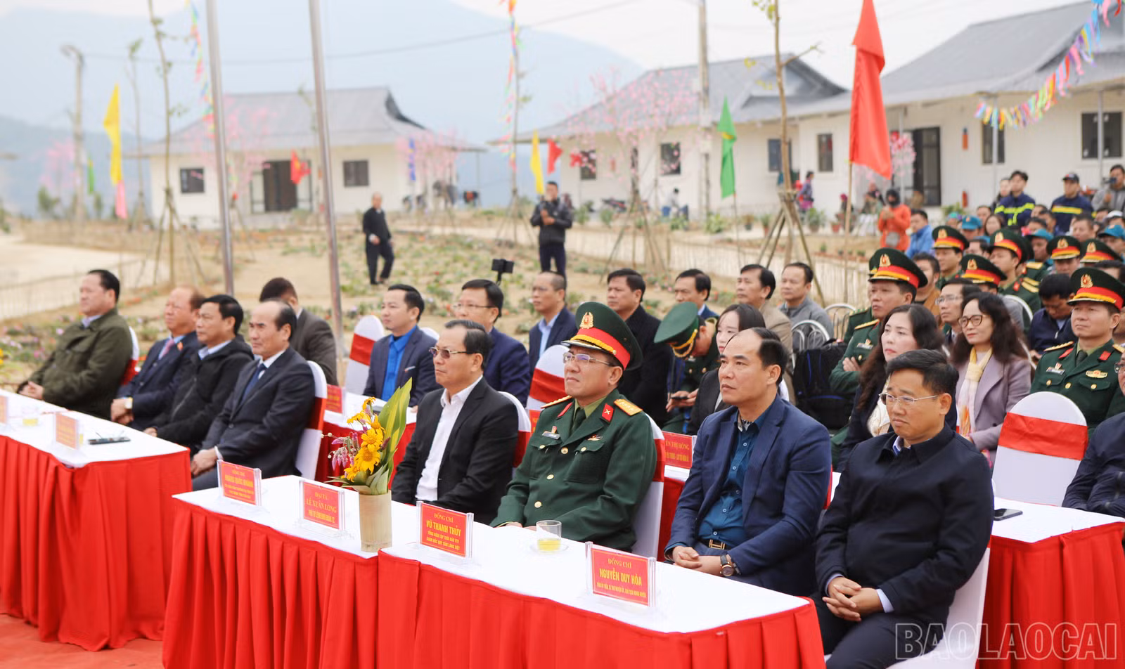 baolaocai-br_nt-2.jpg