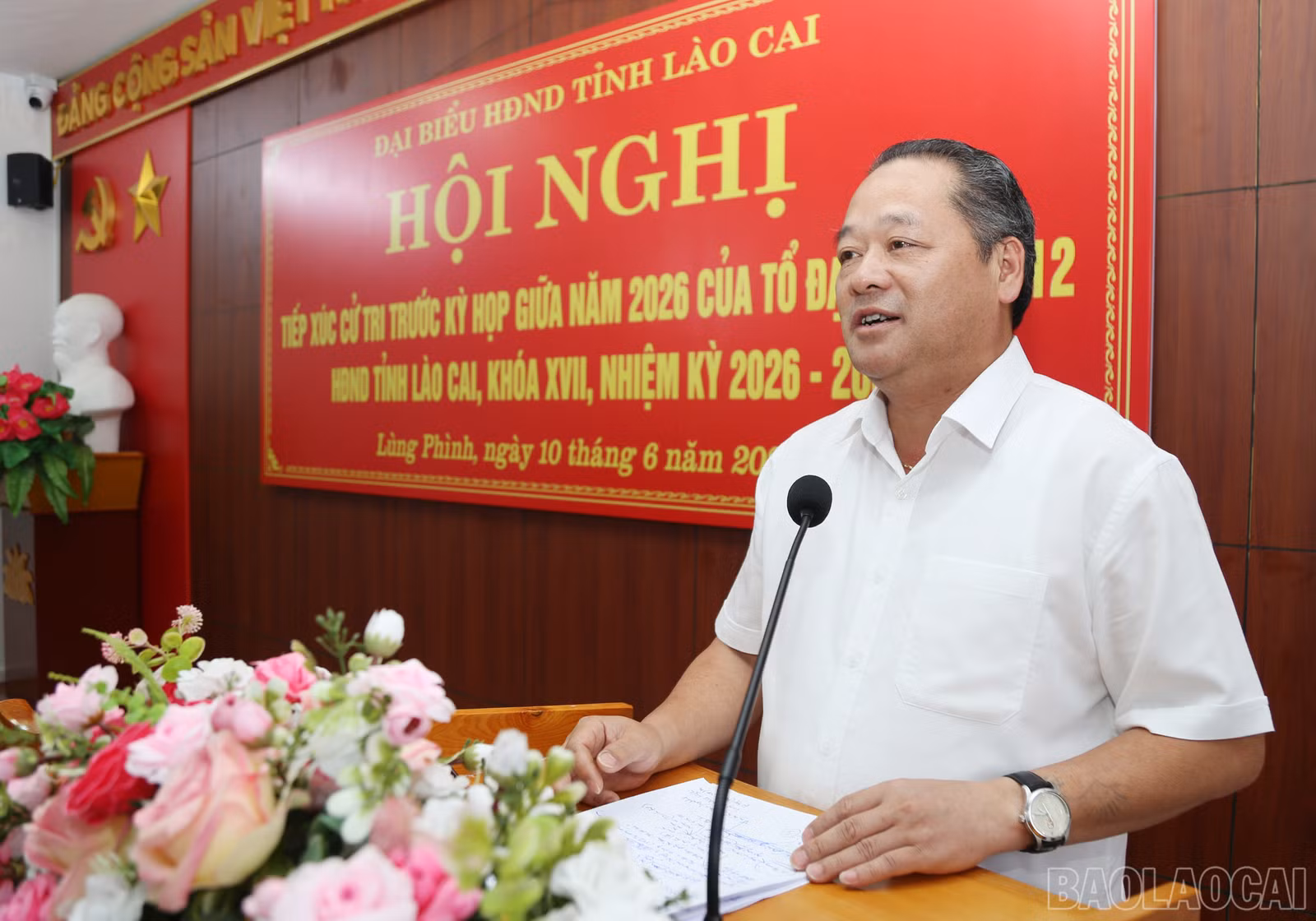 baolaocai-br_c-8.jpg