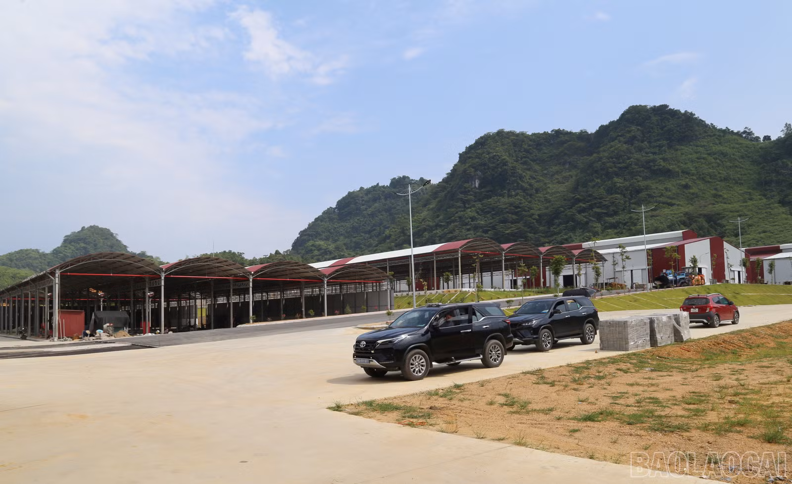baolaocai-br_4.jpg