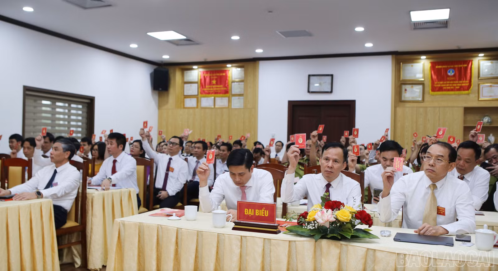 baolaocai-br_9.jpg