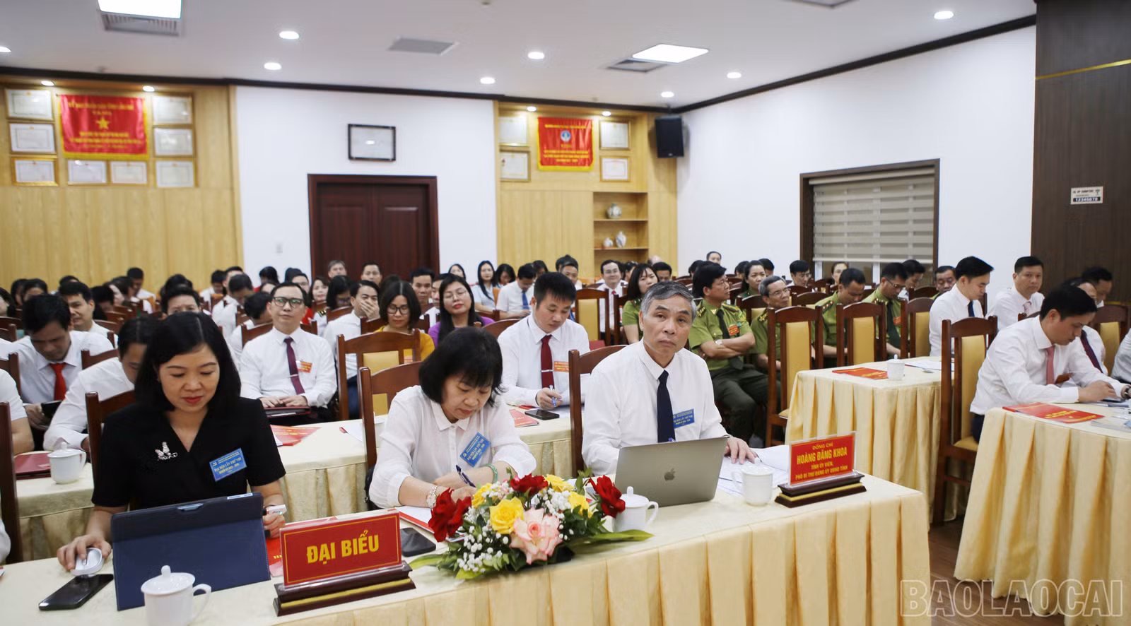 baolaocai-br_4.jpg