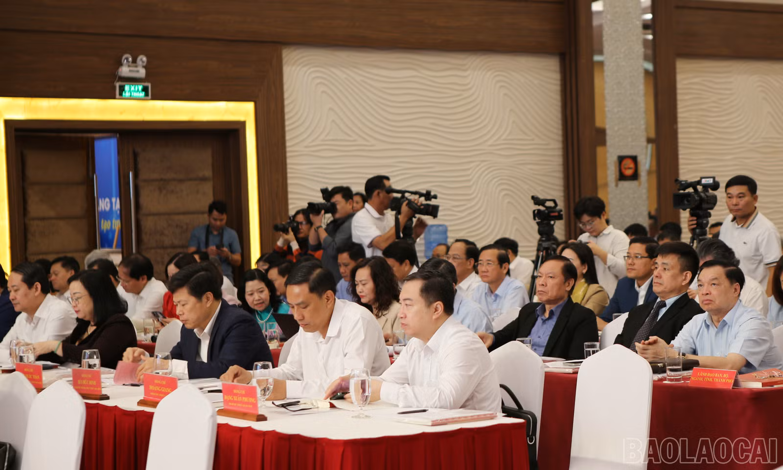 baolaocai-br_btg-3.jpg