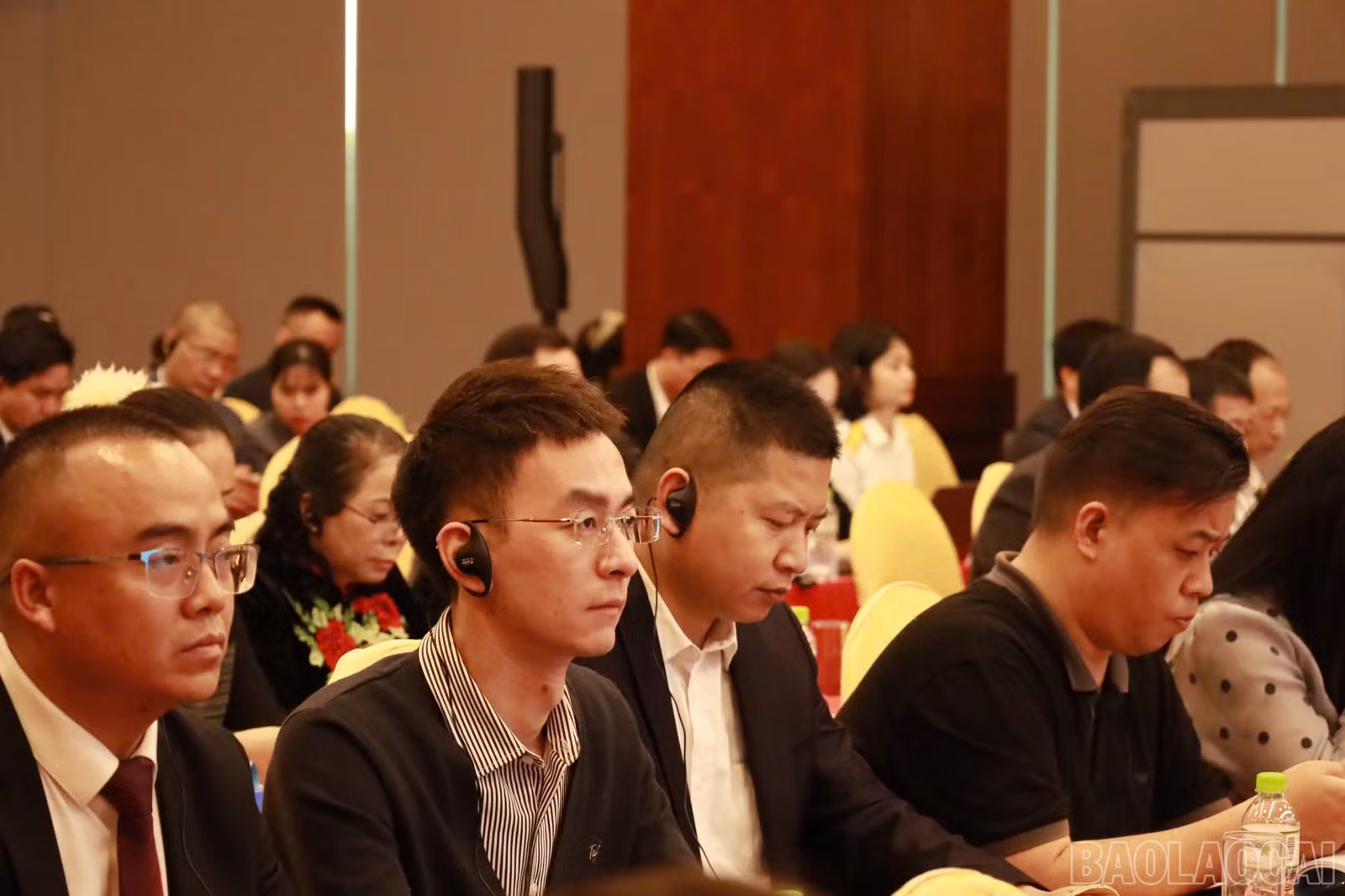 baolaocai-br_z6404877922787-6cb140c0f48035163ff3befff7d1f19d.jpg