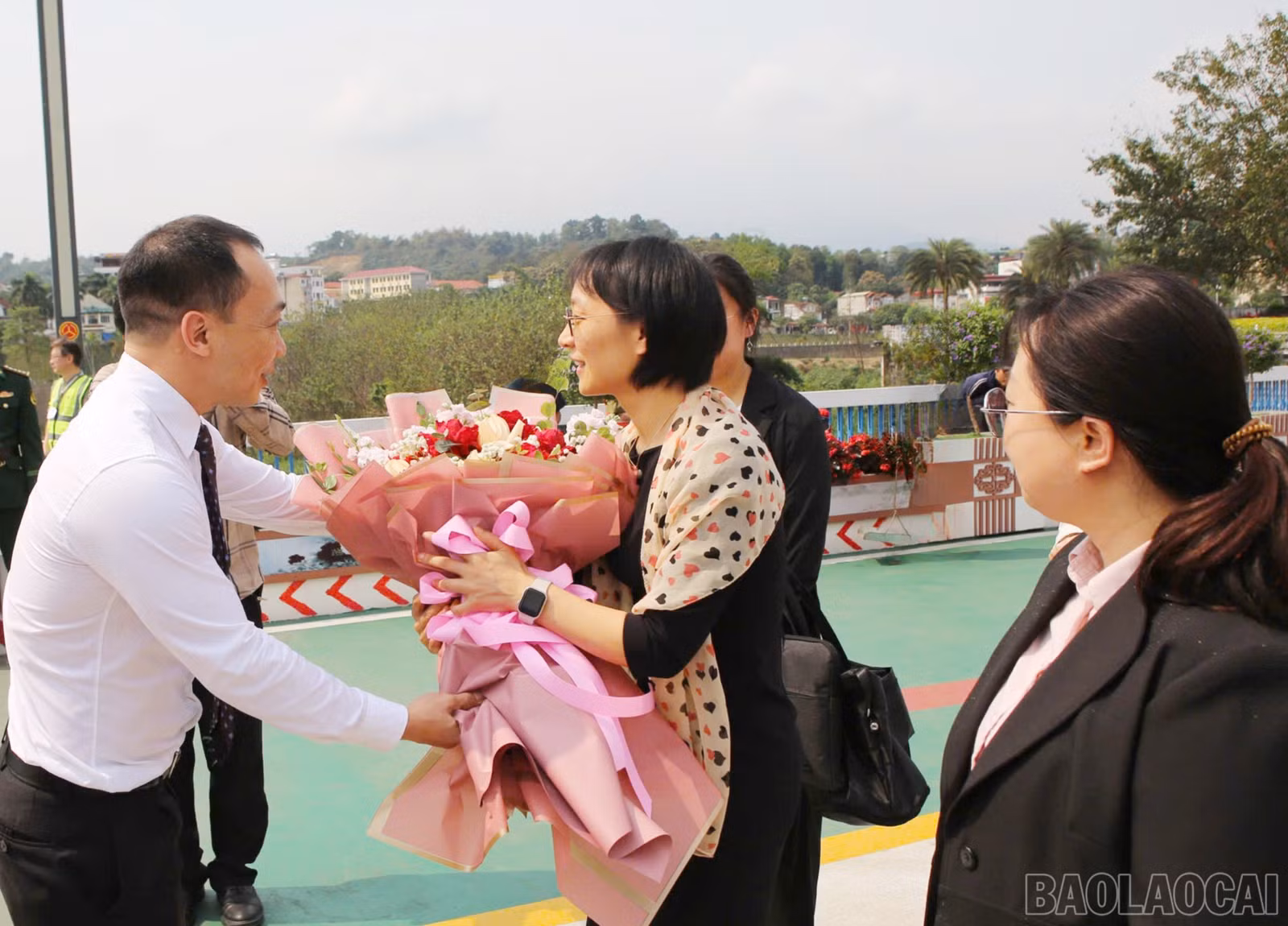 baolaocai-br_4.jpg