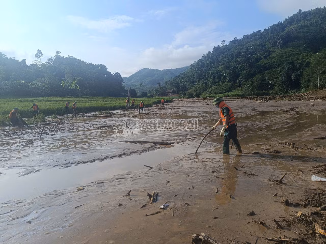 z5842462899640_f18216b7a11c3776a05215b35585b494.jpg