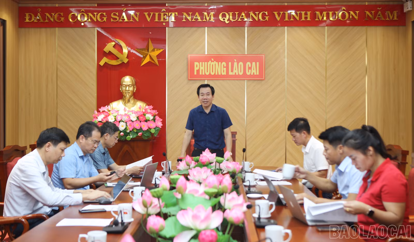 baolaocai-br_9.jpg