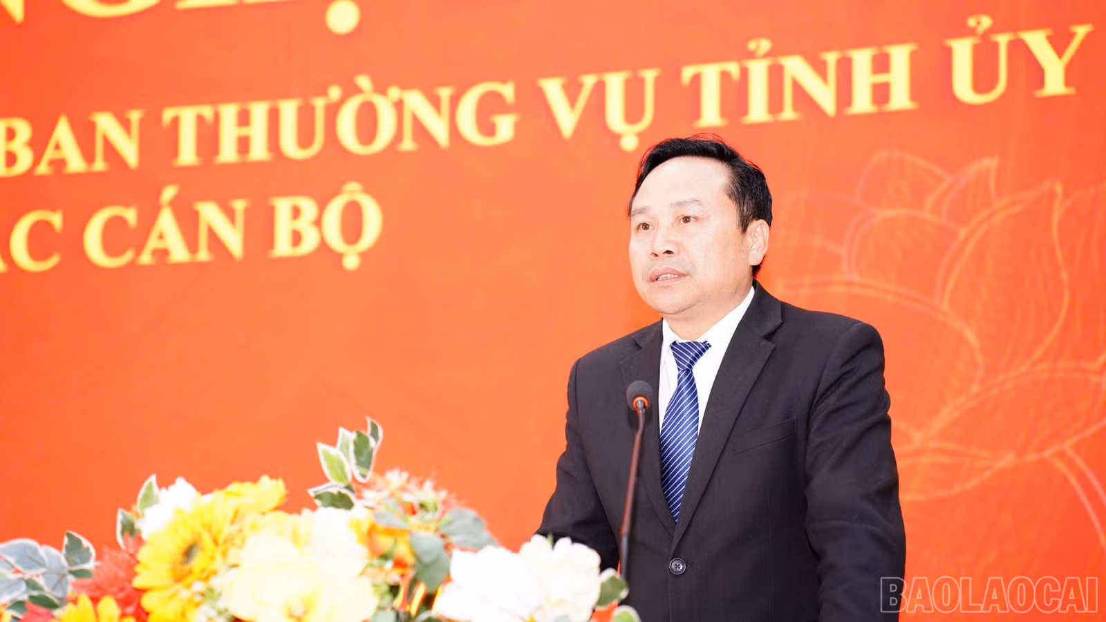 baolaocai-br_3.jpg