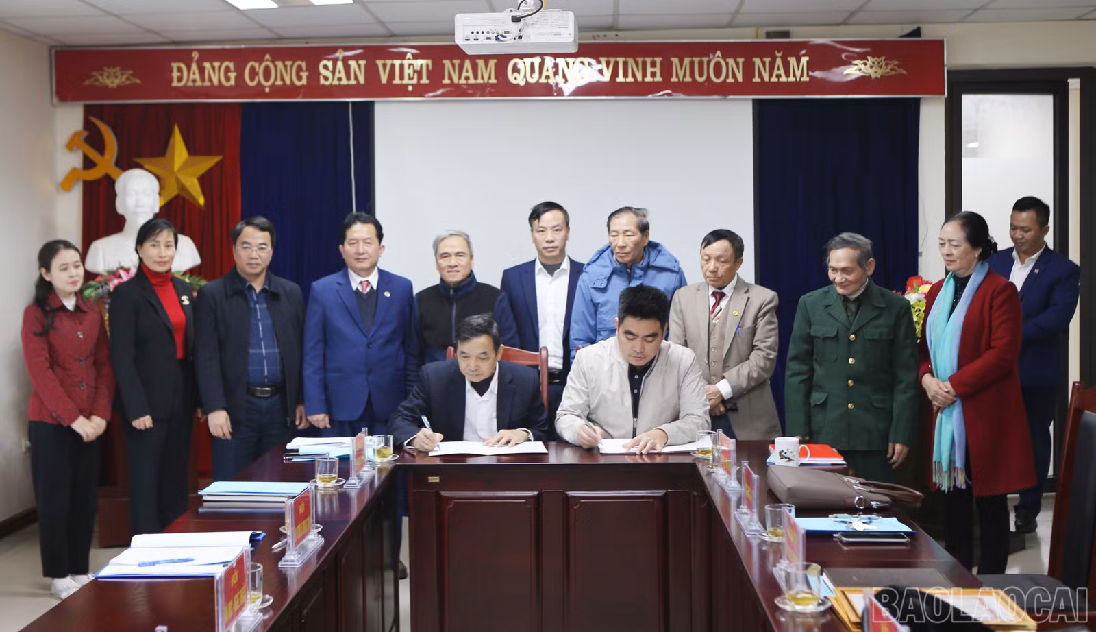 baolaocai-br_xh-6.jpg