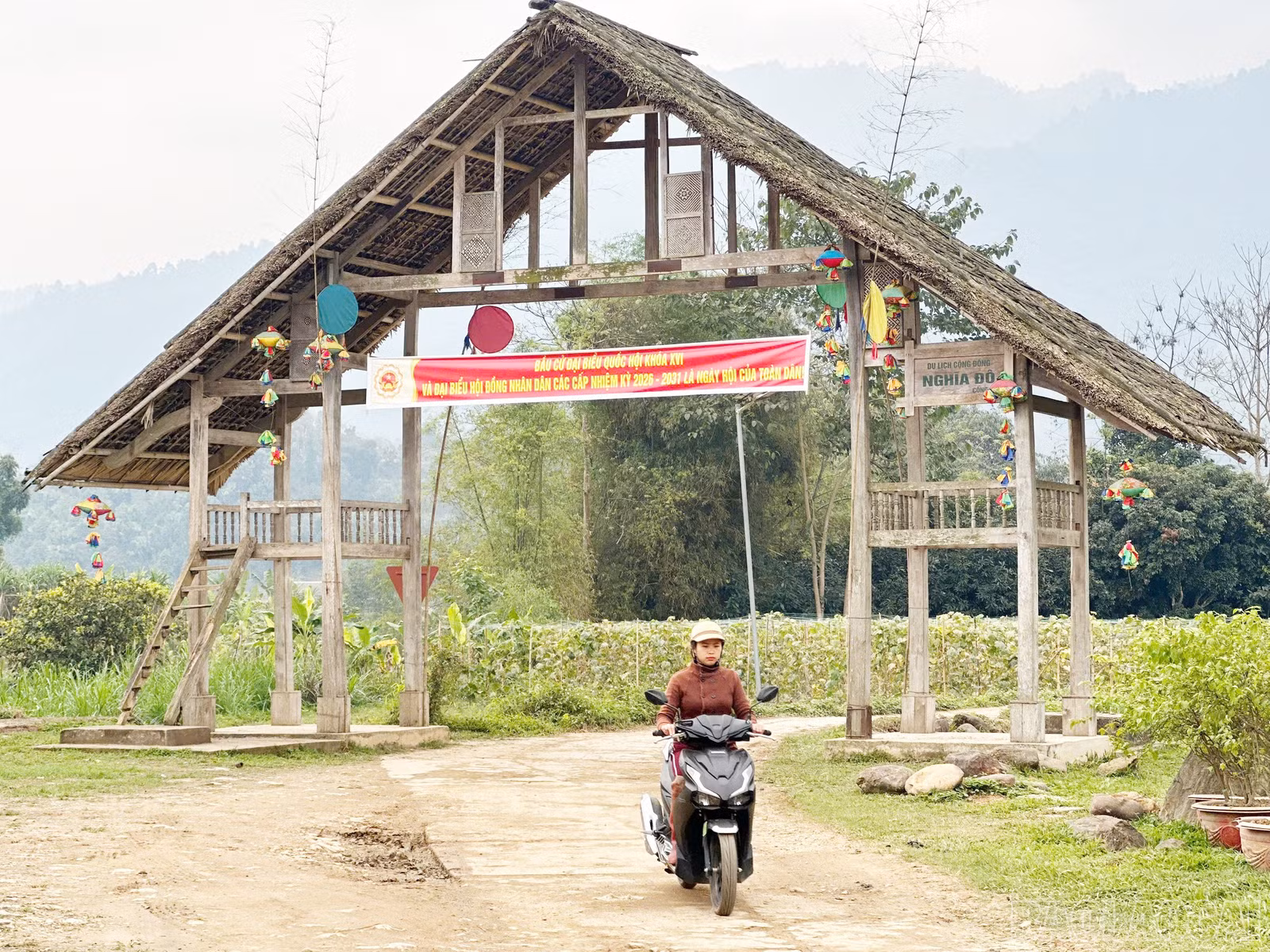 baolaocai-br_c-12.jpg