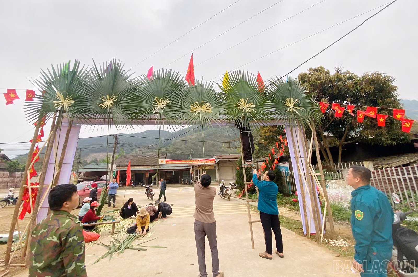 baolaocai-br_c-10.jpg