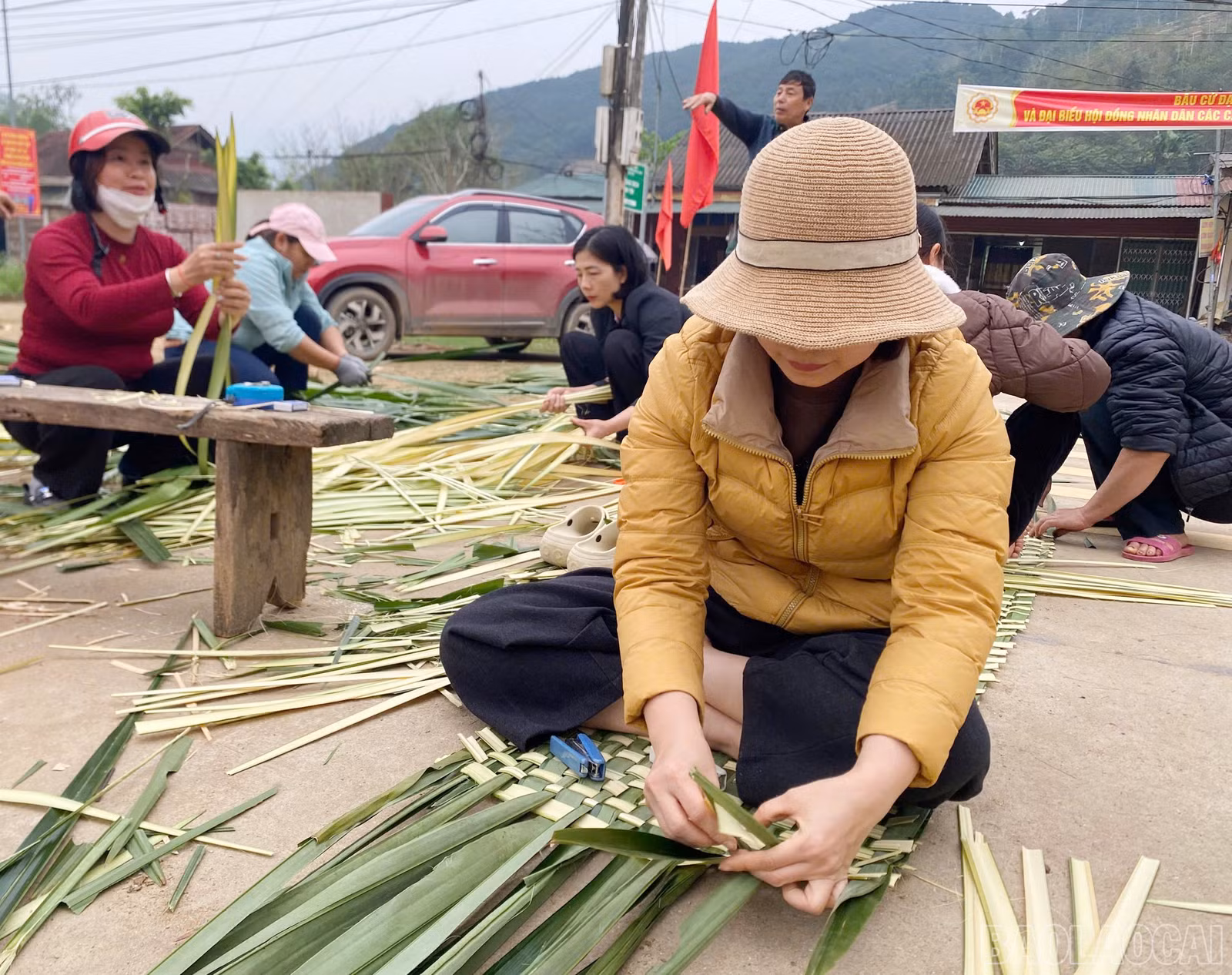 baolaocai-br_c-8.jpg