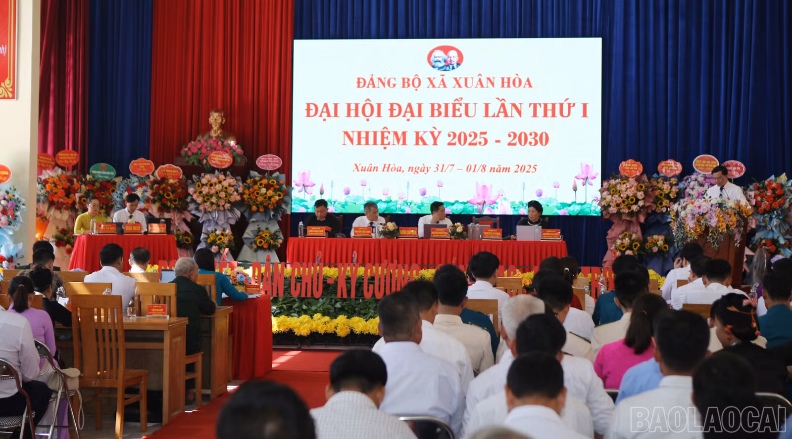 baolaocai-br_xh-1.jpg