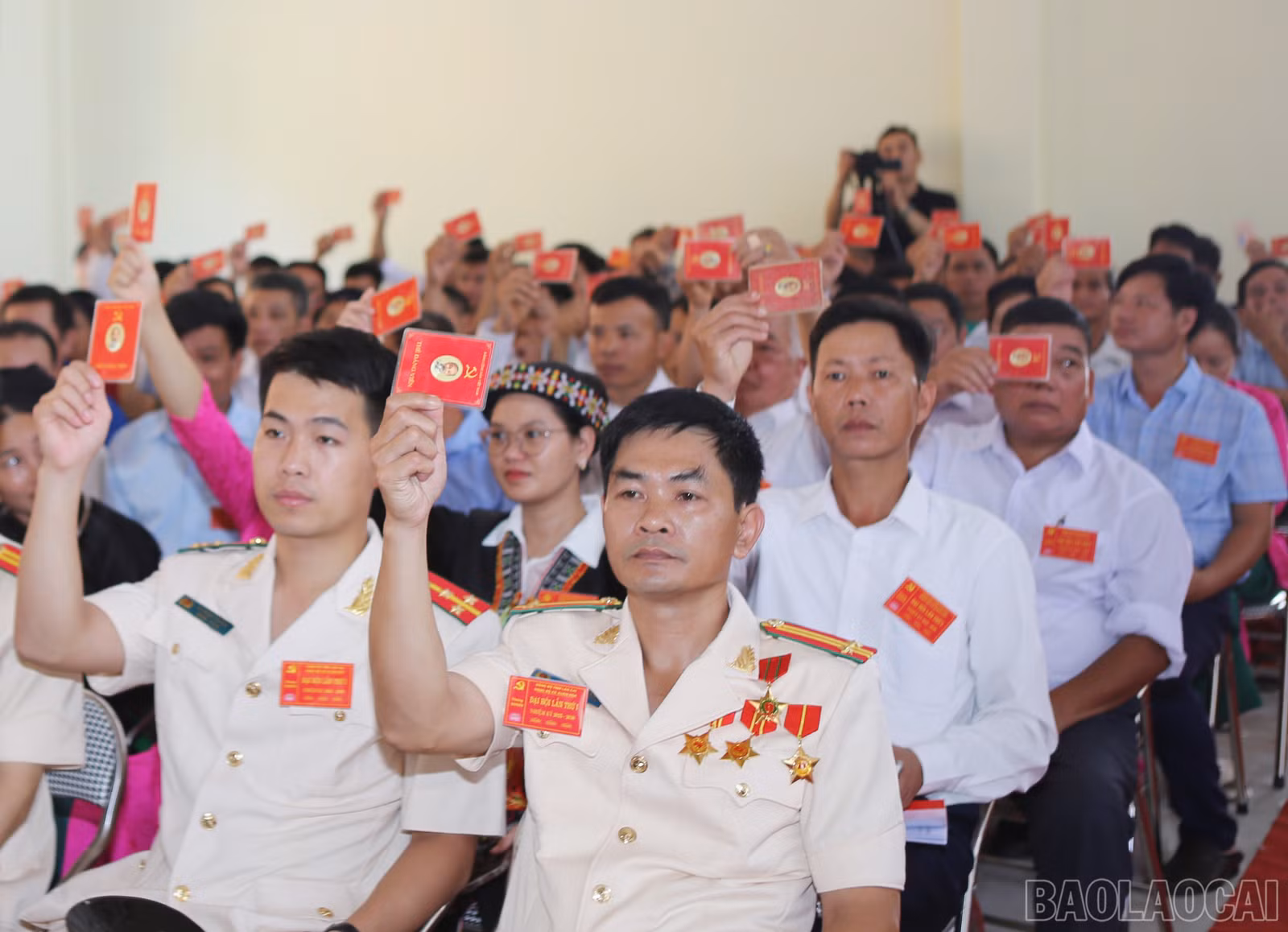 baolaocai-br_xh-8.jpg