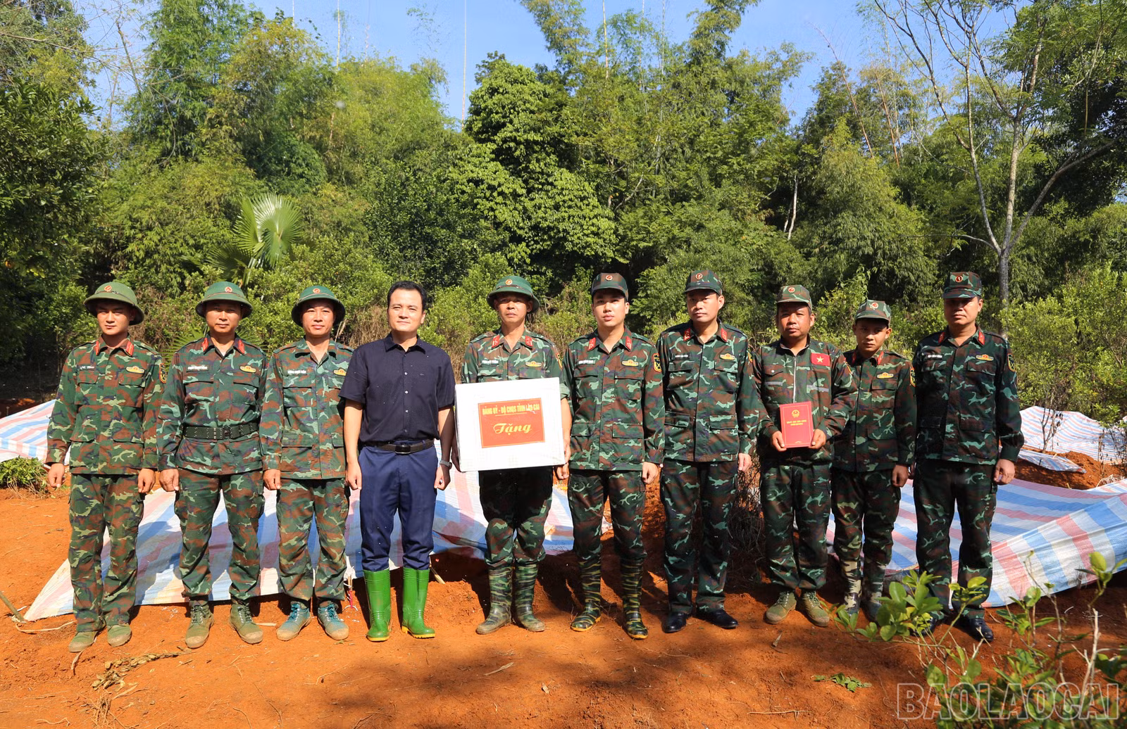 baolaocai-br_a-6.jpg