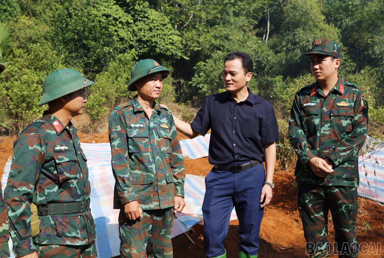 baolaocai-br_a-8.jpg