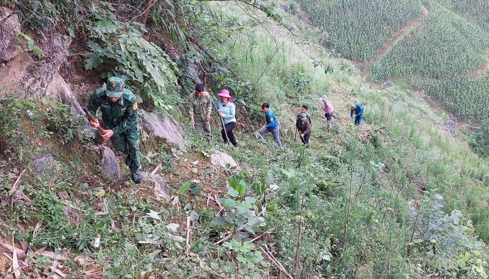baolaocai-br_2.jpg