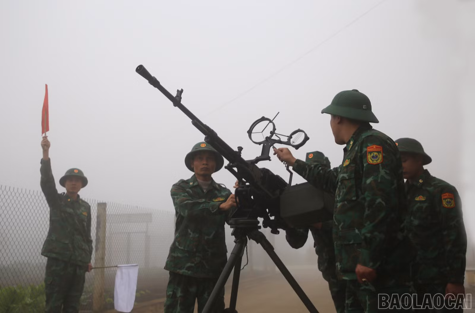 baolaocai-br_14.jpg