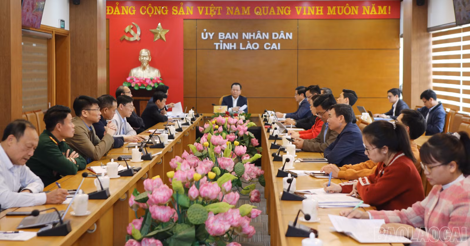 baolaocai-br_1.jpg