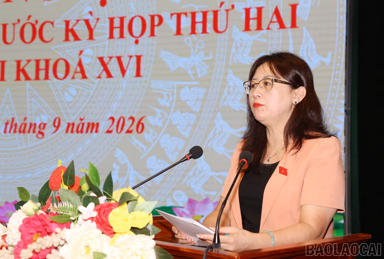 baolaocai-br_c-5013.jpg