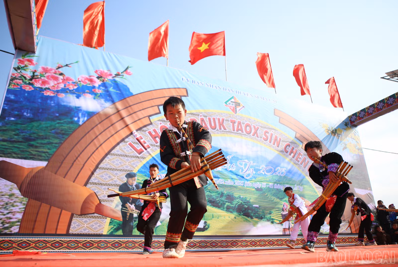 baolaocai-br_s-9.jpg