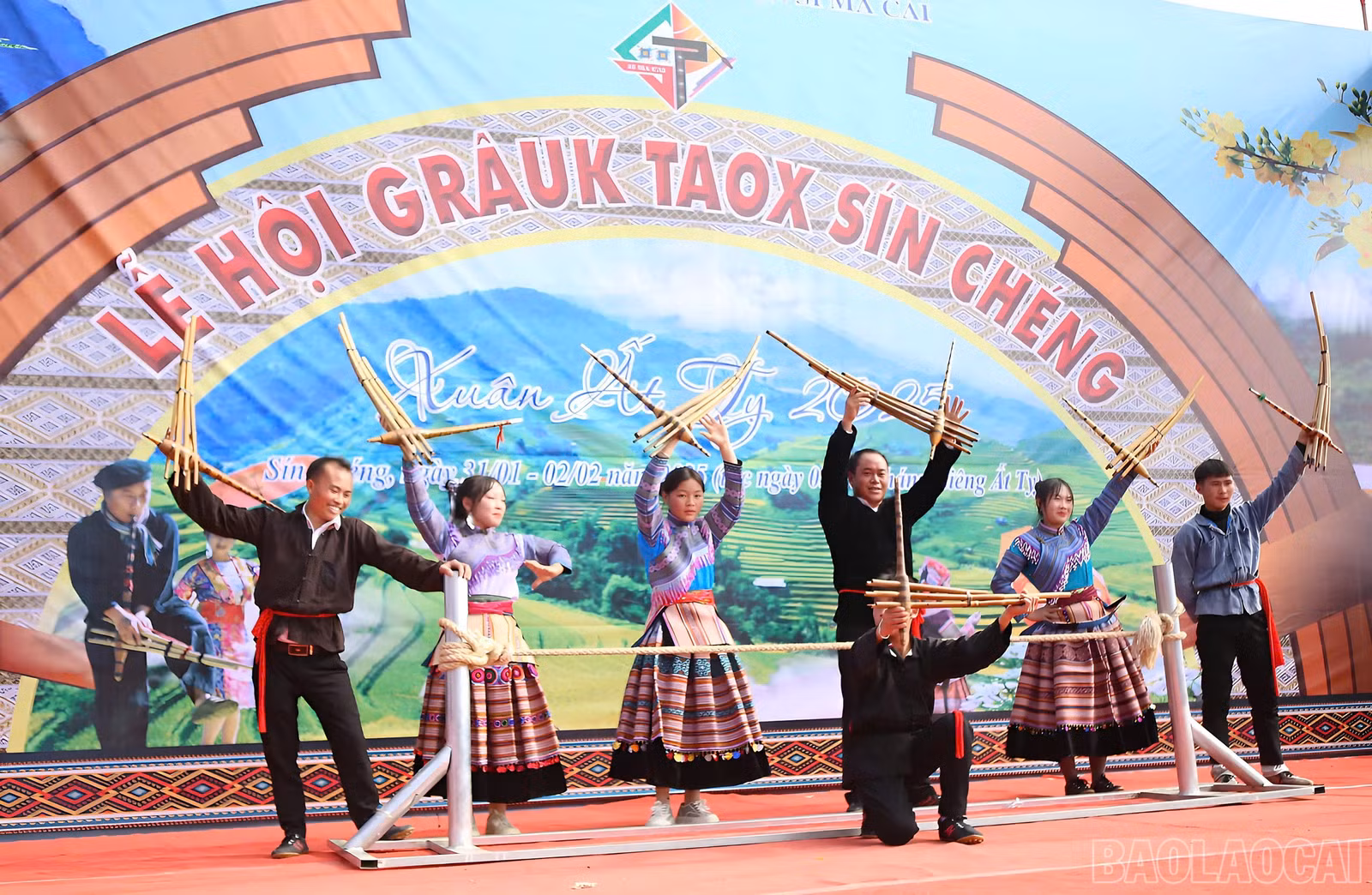 baolaocai-br_z6277130199961-fd256efa22d3351d70a3f78fc56177f8.jpg