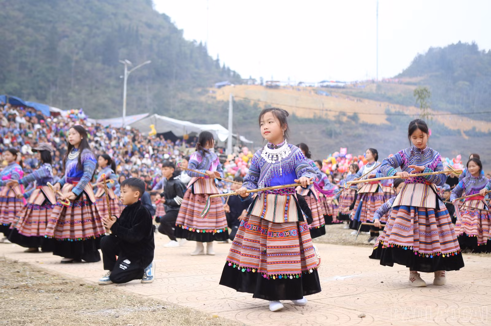 baolaocai-br_si-11.jpg
