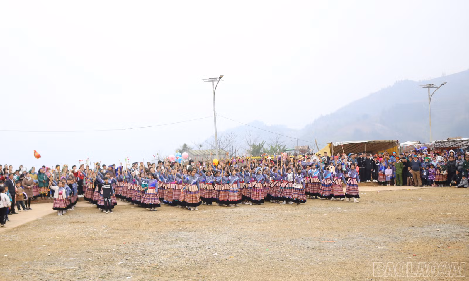 baolaocai-br_si-9.jpg