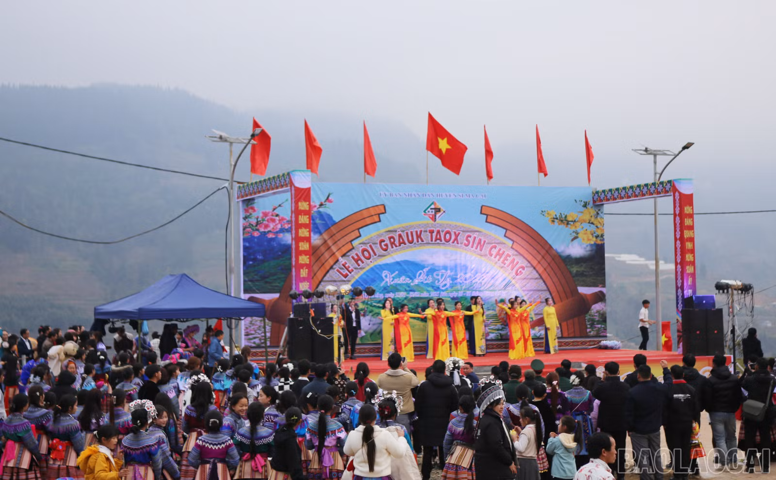 baolaocai-br_si-1.jpg