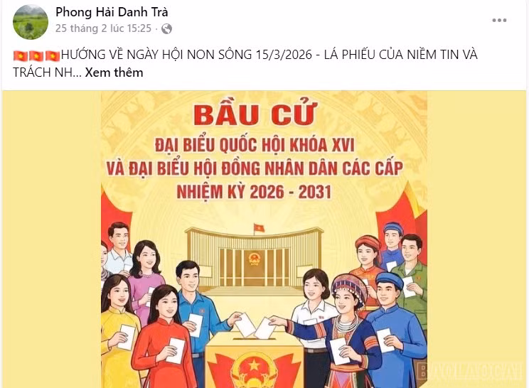 baolaocai-br_v-8.jpg