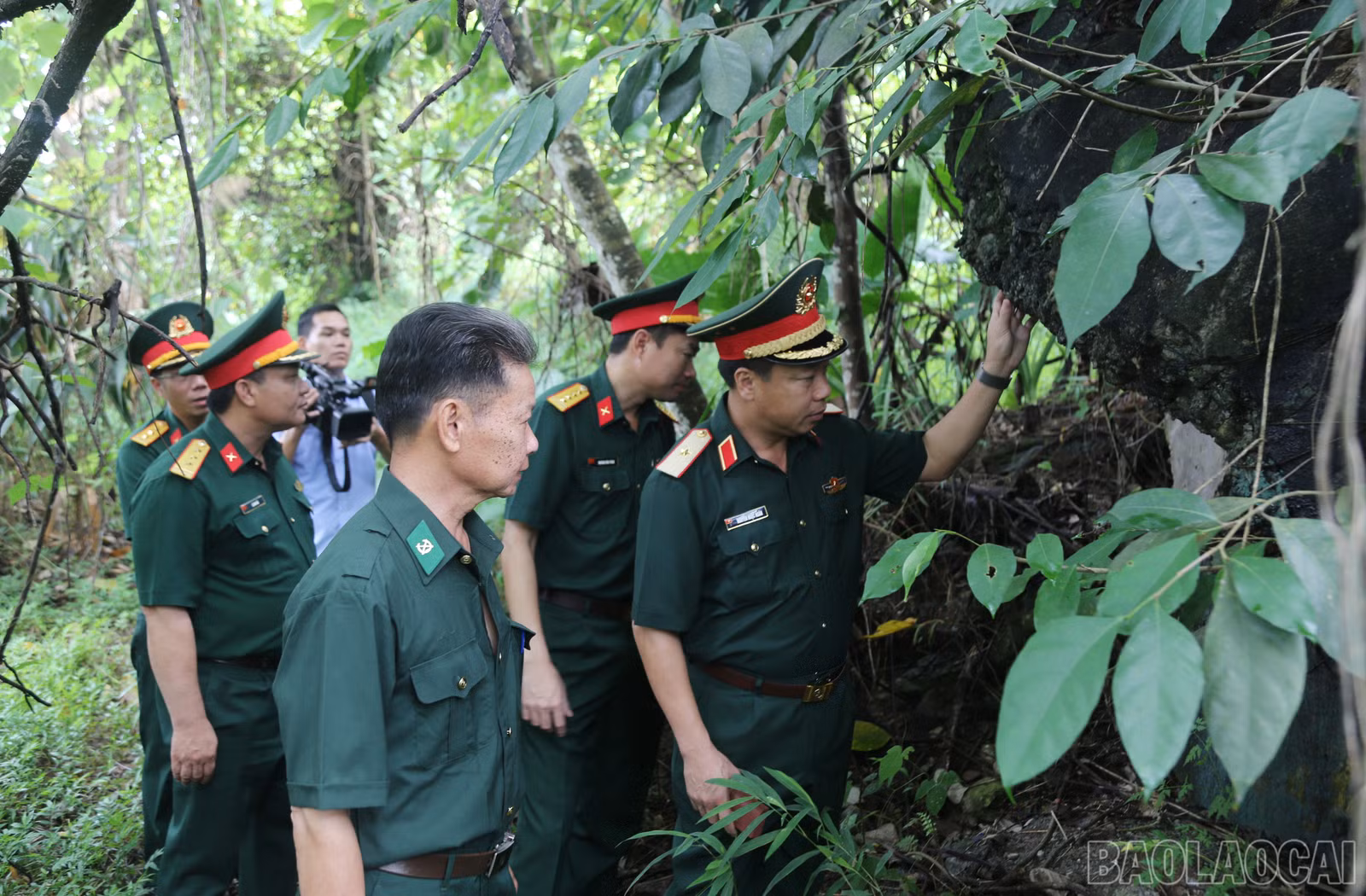 baolaocai-br_a-12.jpg