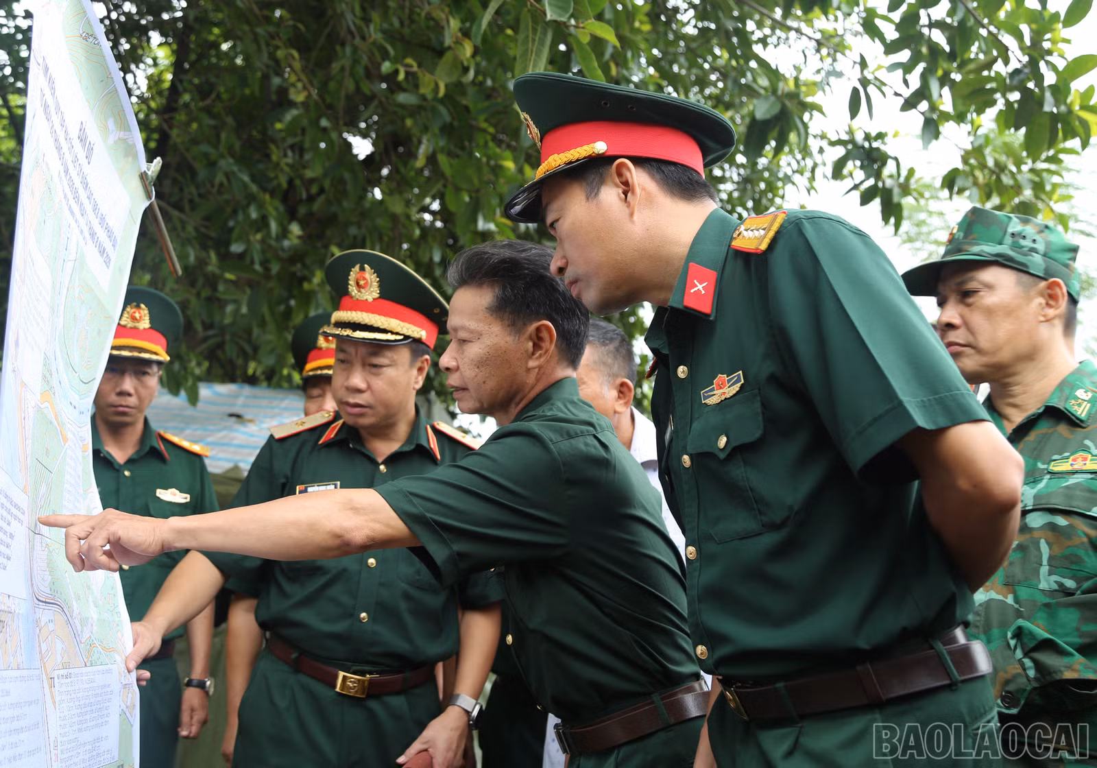 baolaocai-br_a-3.jpg