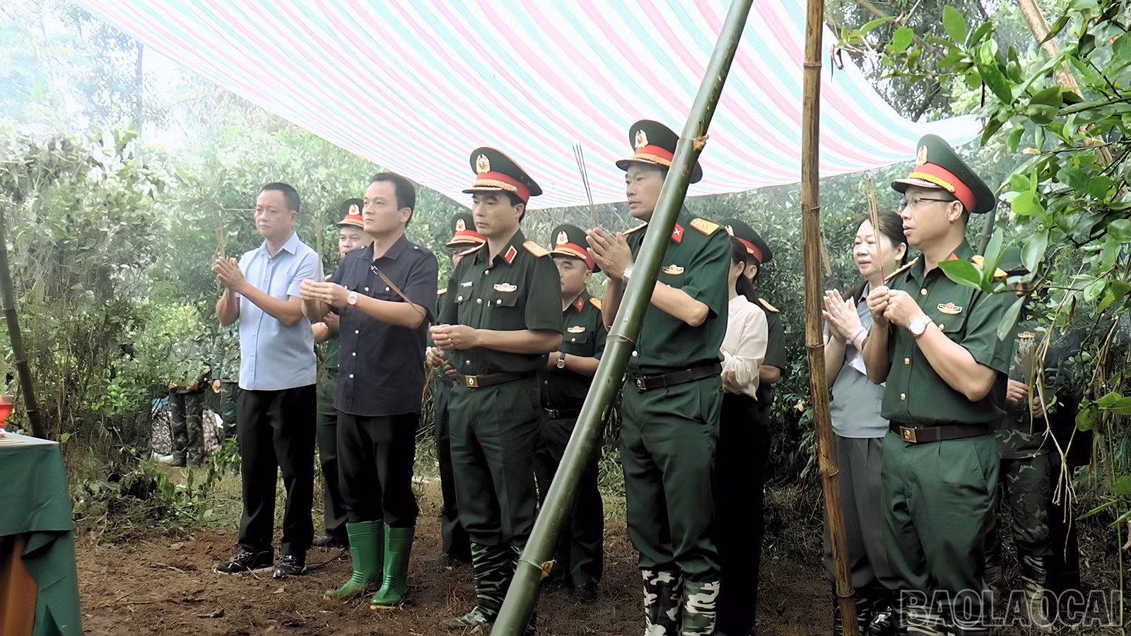 baolaocai-br_48.jpg