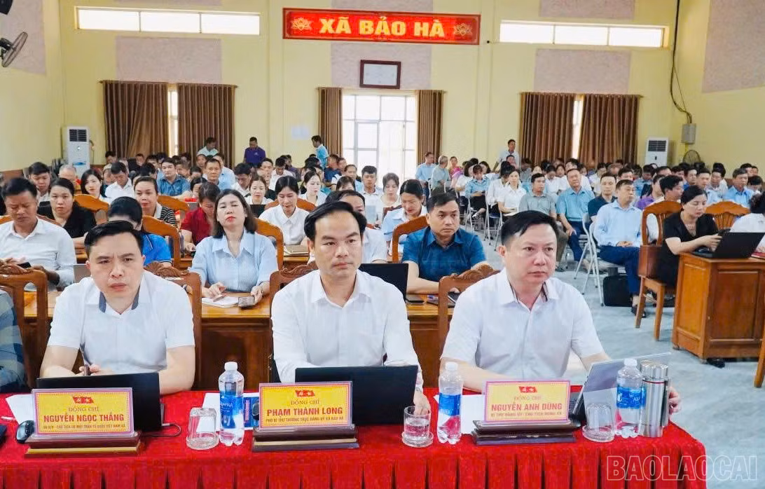 baolaocai-br_b-3.jpg