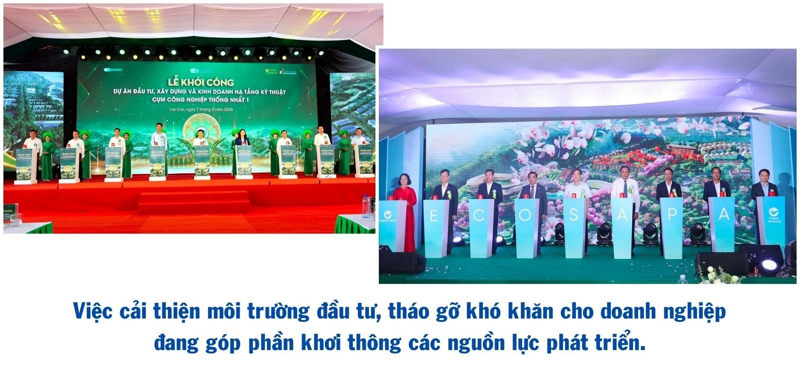 498.jpg