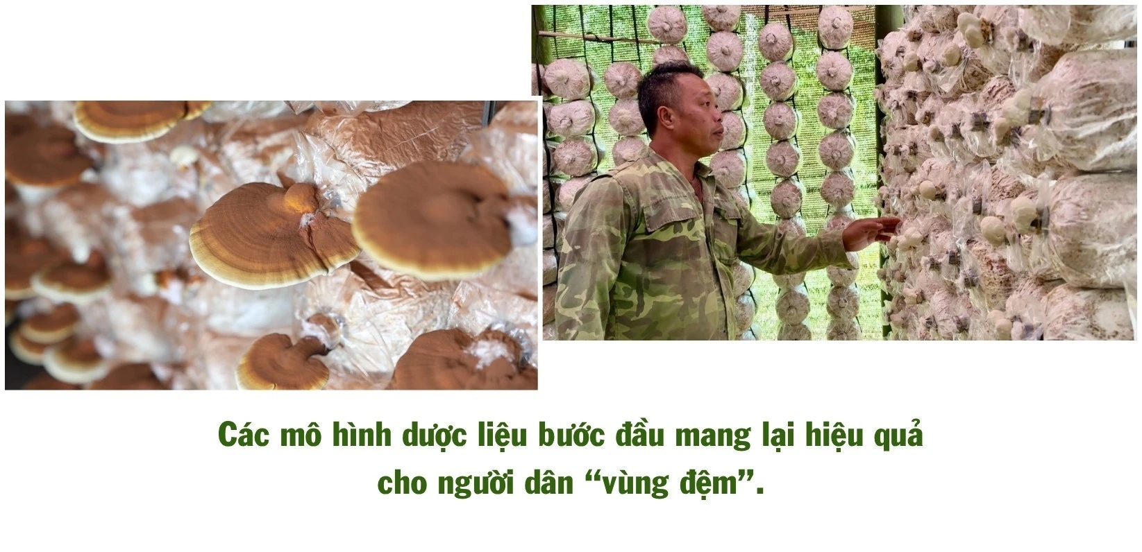 494.jpg