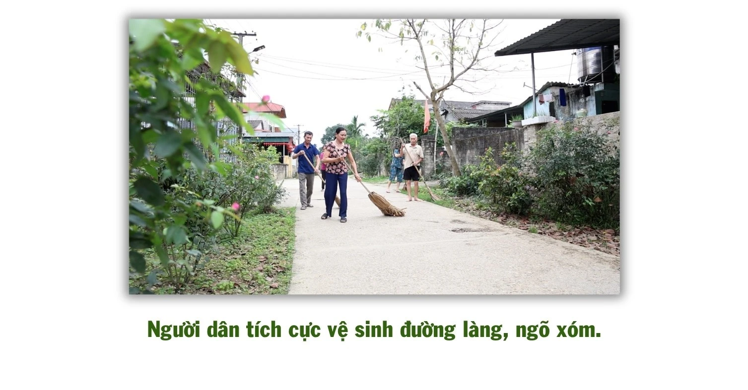 498.jpg