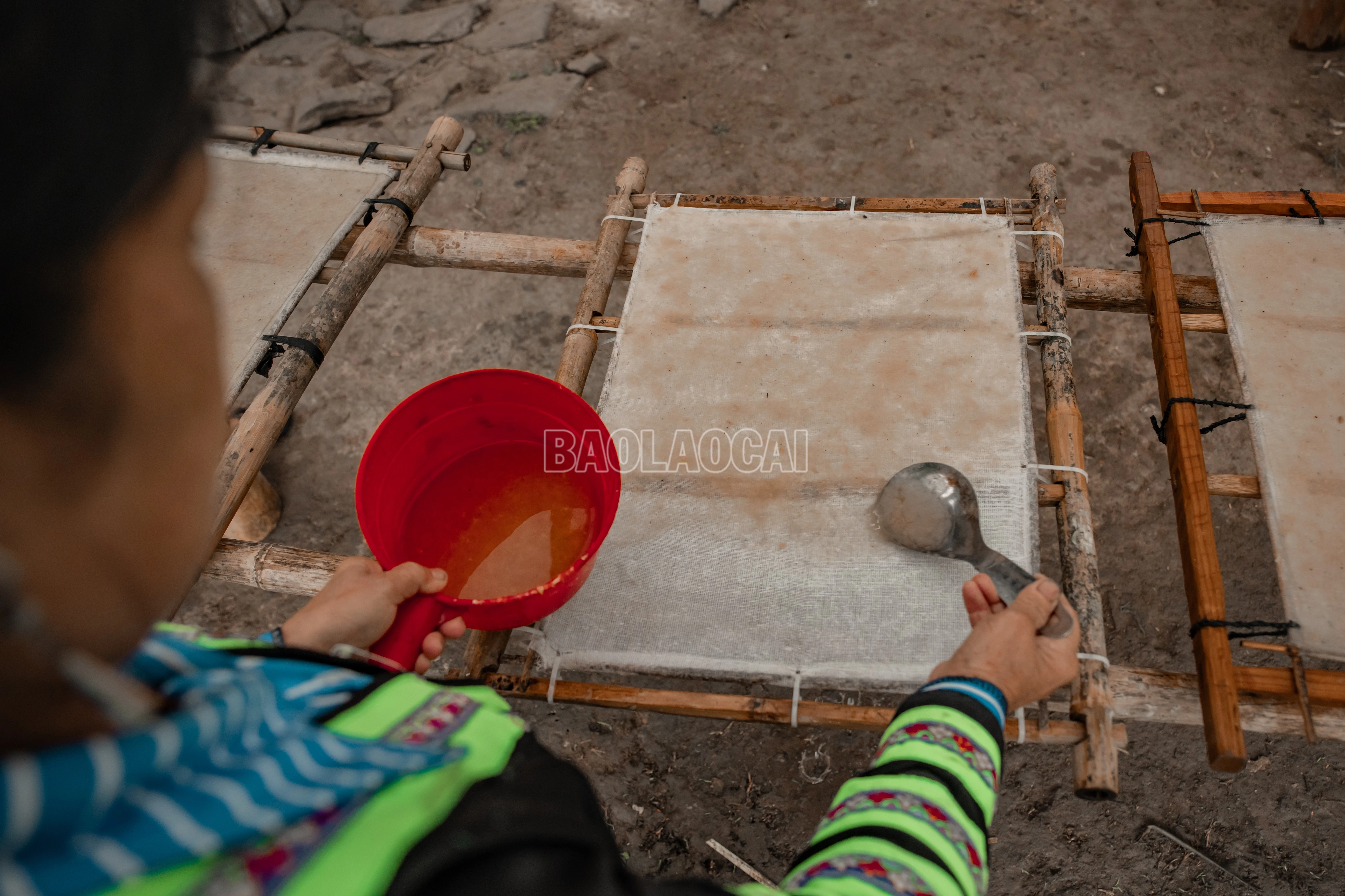 baolaocai-c_900a1445.jpg