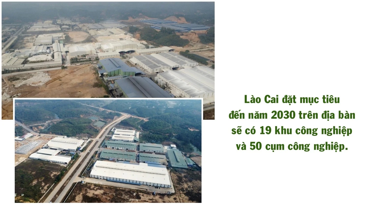 ngo-thu-nhap-bap-benh-trong-khi-chuoi-bi-benh-khien-gia-dinh-anh-ho-gap-kho-478.jpg