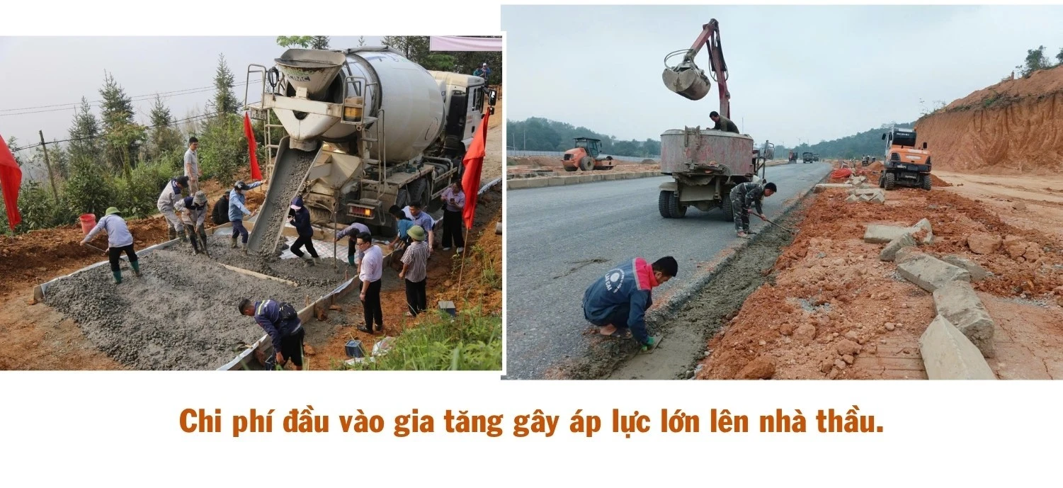 490.jpg