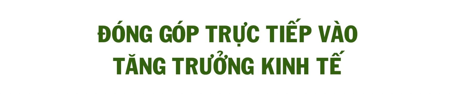ngo-thu-nhap-bap-benh-trong-khi-chuoi-bi-benh-khien-gia-dinh-anh-ho-gap-kho-459-6046.jpg