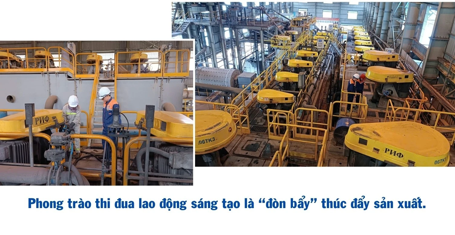 494.jpg