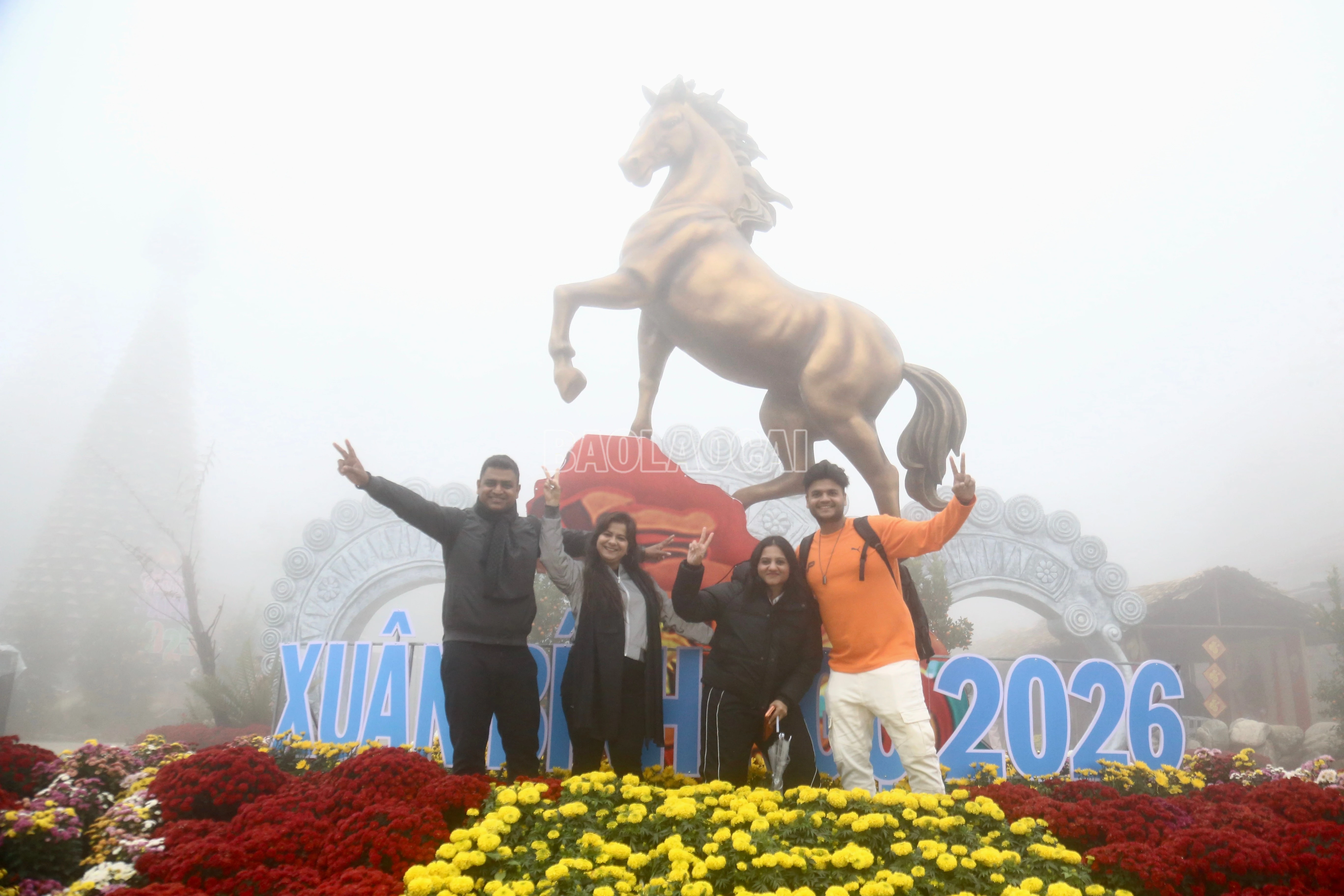 baolaocai-c_img-1690.jpg