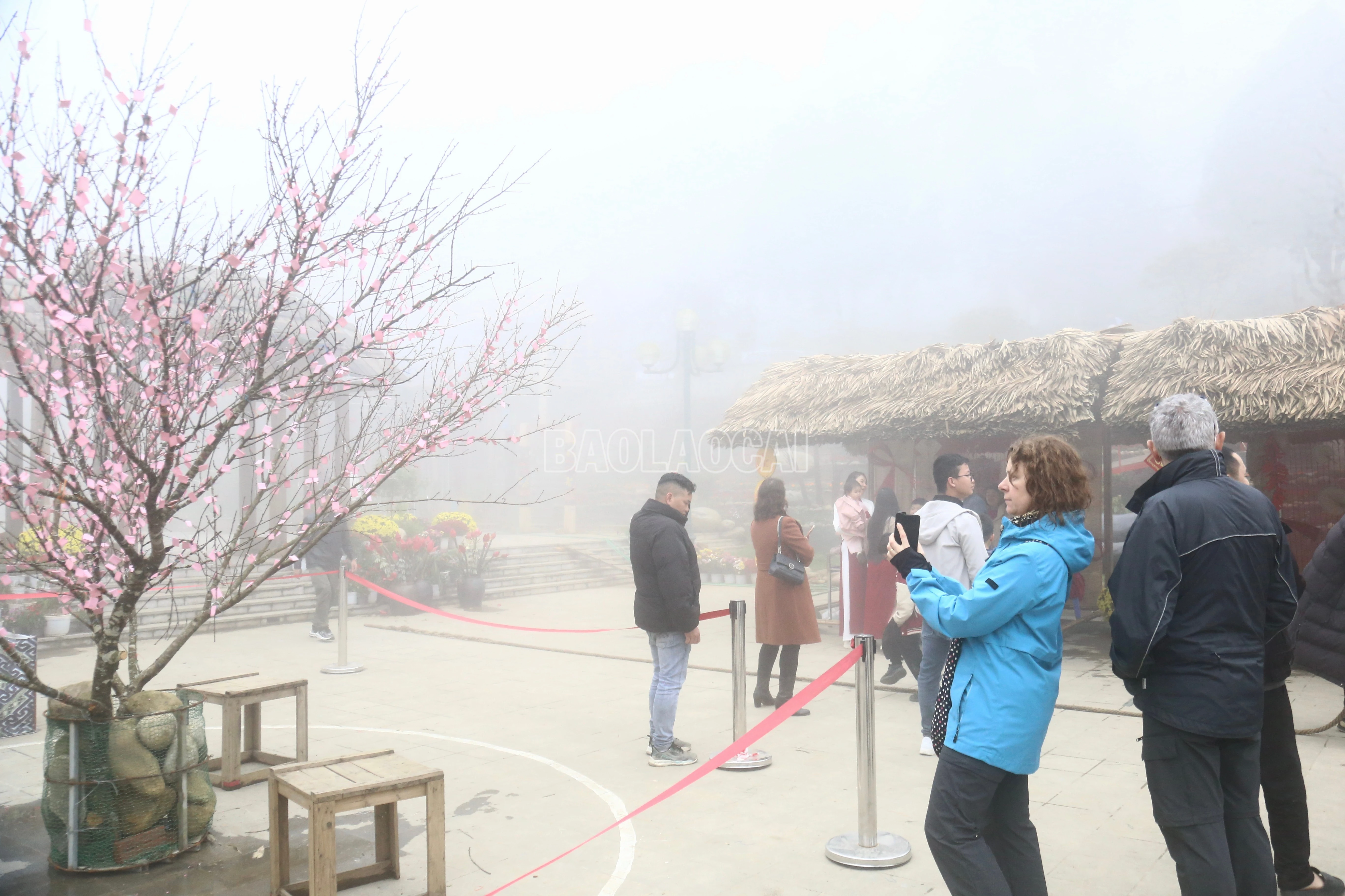 baolaocai-c_img-1684.jpg