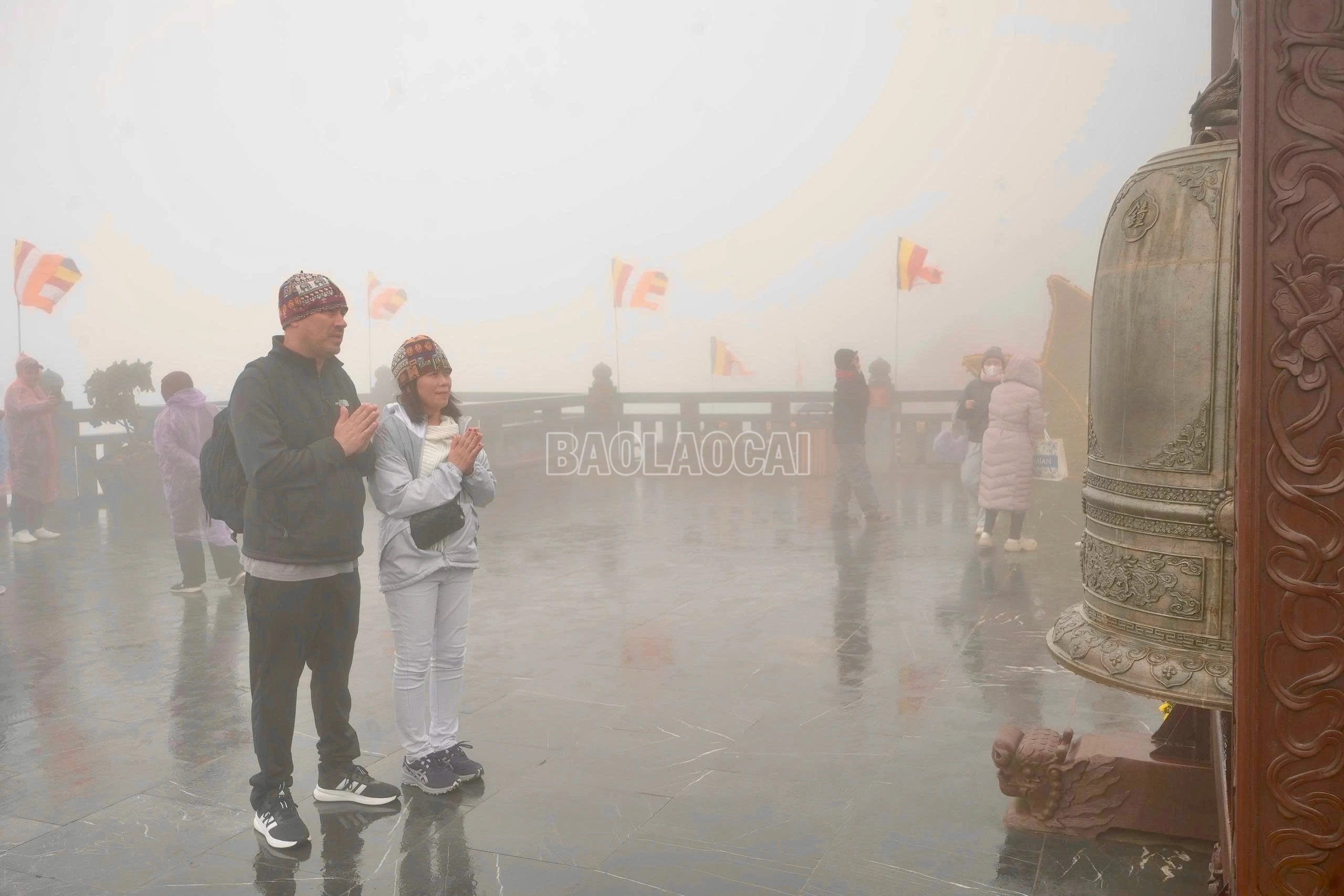 baolaocai-c_img-3146.jpg