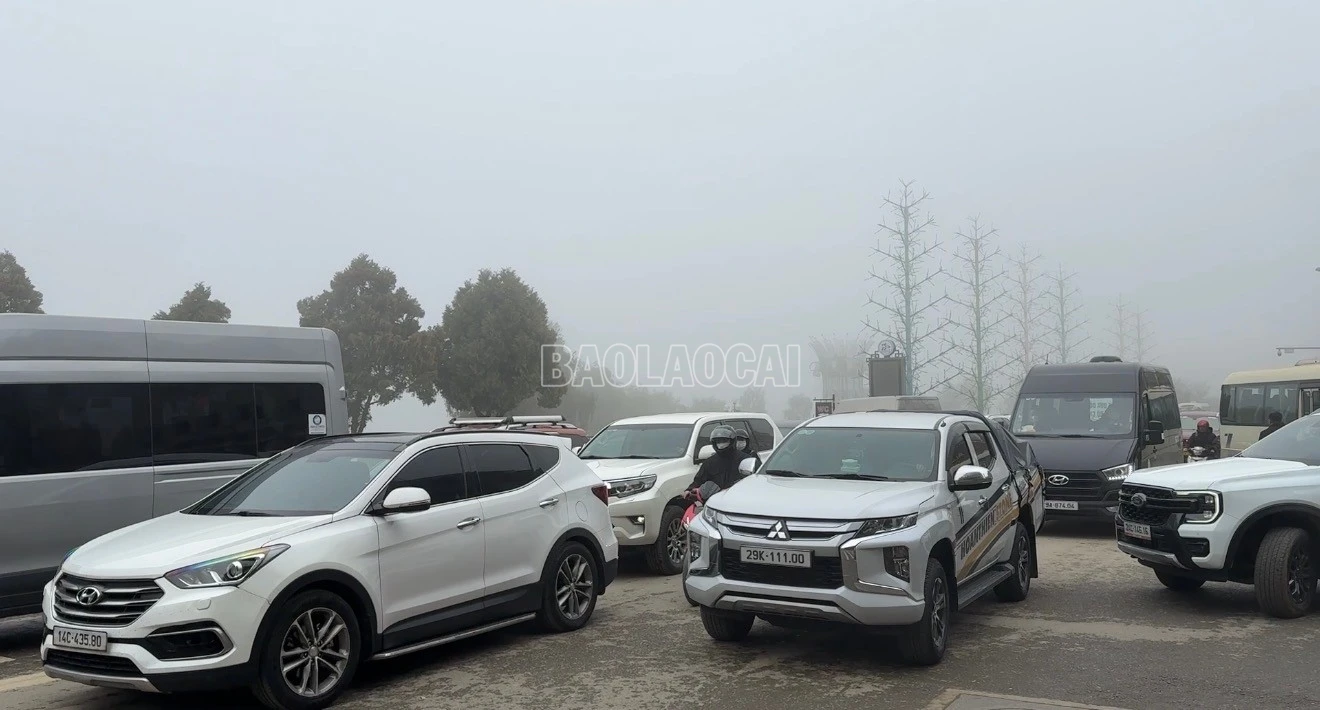 baolaocai-c_img-3112.jpg
